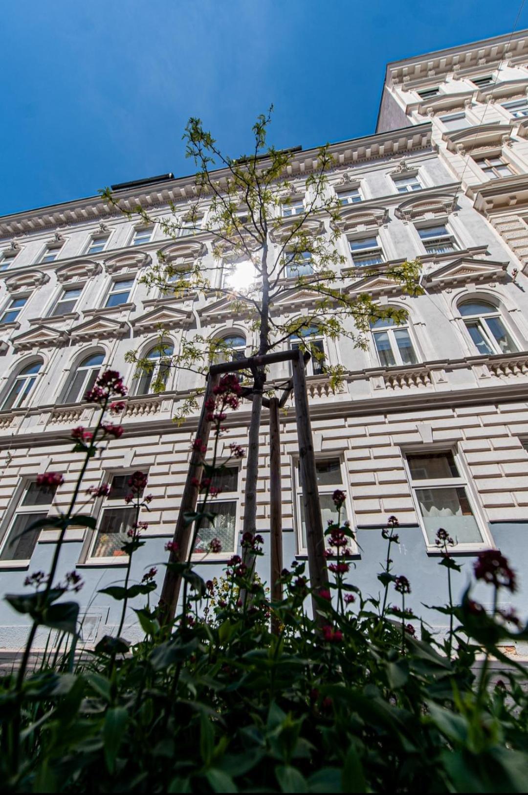 Apartment With Balcony Near Augarten فيينا المظهر الخارجي الصورة